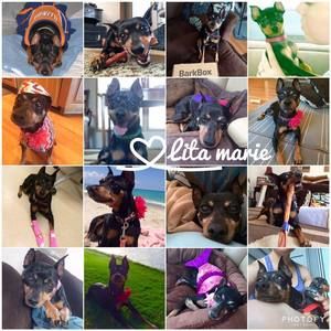 Meet your Posher, Kathryn